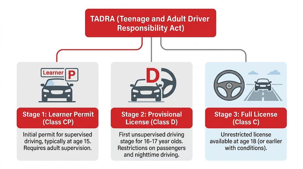A diagram outlining the three stages of the Georgia Teenage and Adult Driver Responsibility Act licensing process.