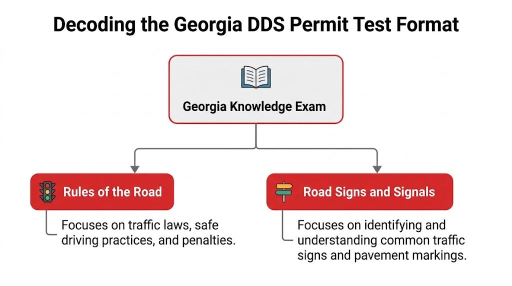 A diagram outlining the structure of the Georgia DDS permit test including rules of the road and signs.